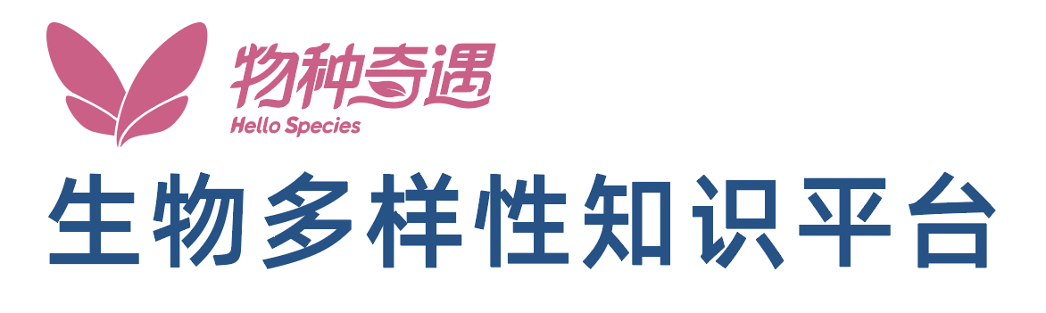领创共升